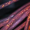 Unleashing the Power of AI Technology: Transforming Today’s World